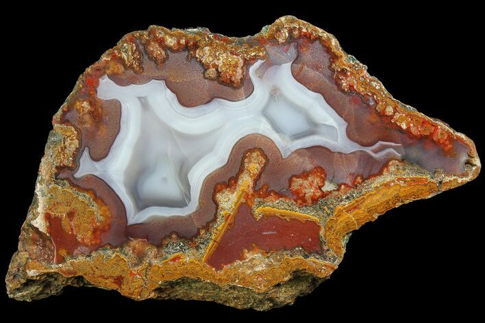 Colorful, Polished Agate Nodule Half - Kerrouchen, Morocco #181291